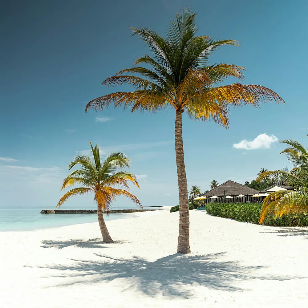 Private Beach in Maldives
