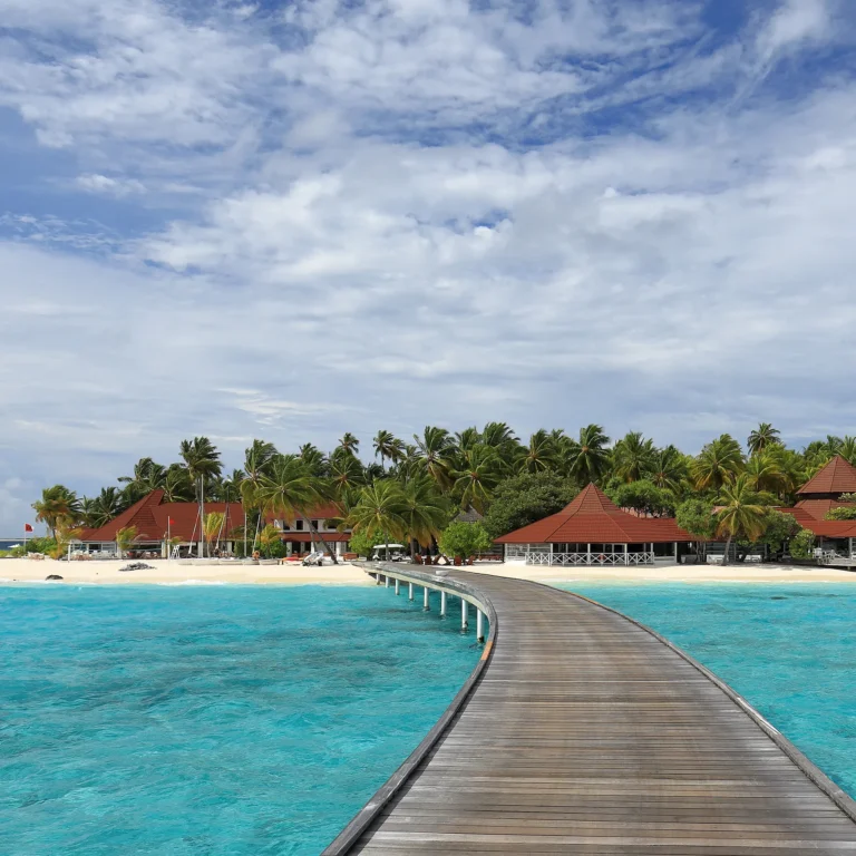 ari atoll the maldives